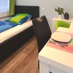 Rent 1 bedroom apartment of 25 m² in Frankfurt