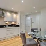 Rent 1 bedroom apartment in London