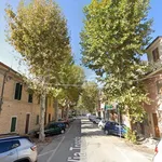 Rent 2 bedroom apartment of 60 m² in Fano