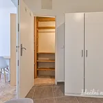 Rent 2 bedroom apartment in Brno