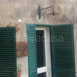 Affitto 2 camera appartamento di 50 m² in Castiglione della Pescaia