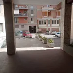 Affitto 6 camera appartamento di 300 m² in Cagliari