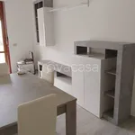 Rent 3 bedroom apartment of 100 m² in Porto San Giorgio