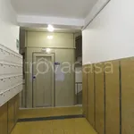 Rent 4 bedroom apartment of 100 m² in Bologna