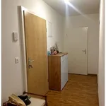 Rent 3 bedroom apartment in Geneva