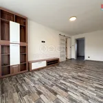 Rent 3 bedroom apartment of 100 m² in Vyškov