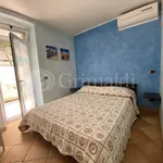 Rent 2 bedroom apartment of 55 m² in Anzio