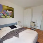 Miete 2 Schlafzimmer wohnung von 527 m² in Zurich