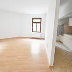 Rent 2 bedroom apartment of 55 m² in Chemnitz