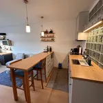 Pronajměte si 1 ložnic/e byt o rozloze 29 m² v Prague