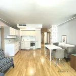 Rent 2 bedroom apartment of 85 m² in Prague