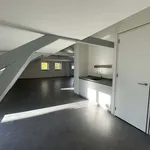 Rent 4 bedroom apartment of 251 m² in Nieuwe Werk