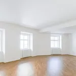 Rent 4 bedroom apartment of 170 m² in Prague