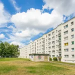 Rent 1 bedroom apartment of 27 m² in Dresden