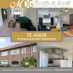 Rent 3 bedroom house in Eindhoven