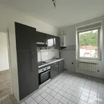 Rent 3 bedroom apartment of 53 m² in METZ