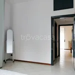 Rent 3 bedroom apartment of 70 m² in Monza