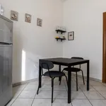 Rent 1 bedroom apartment in Bologna