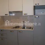 Rent 2 bedroom apartment of 45 m² in Rome