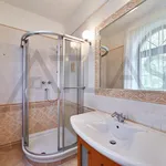 Rent 5 bedroom house of 295 m² in Prague