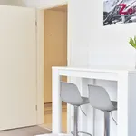 Rent 1 bedroom house of 30 m² in Cologne