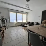 Rent 2 bedroom apartment of 48 m² in THIONVILLE