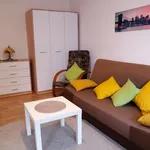 Rent 1 bedroom apartment of 27 m² in Poznan