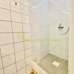 Rent 1 bedroom apartment in Vsetín