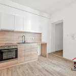 Rent 1 bedroom apartment in Ostrava