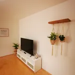 Rent 3 bedroom apartment of 69 m² in Braunschweig