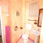 Rent 2 bedroom apartment of 60 m² in livorno