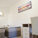 Rent 1 bedroom apartment of 40 m² in Dusseldorf