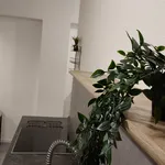 Rent 1 bedroom apartment of 11 m² in Nürnberg