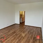 Rent 1 bedroom apartment in Most