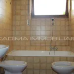 Rent 1 bedroom apartment of 65 m² in Rome