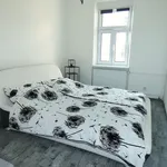 Rent 3 bedroom apartment of 60 m² in budejovice