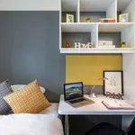 Rent 1 bedroom student apartment in Galway