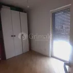 Rent 3 bedroom apartment of 75 m² in Roma