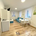 Rent 1 bedroom apartment in Liberec