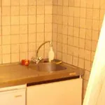 Rent 1 bedroom apartment of 21 m² in Toulouse