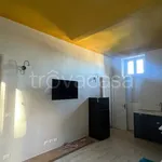 Rent 2 bedroom apartment of 55 m² in Torino