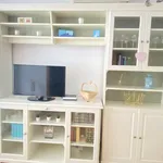 Rent 1 bedroom apartment in Madrid