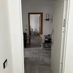 Rent 2 bedroom apartment of 40 m² in Pescara