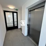 Rent 1 bedroom apartment of 34 m² in Olomouc