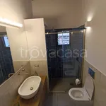 Rent 3 bedroom apartment of 60 m² in Firenze