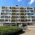 Rent 1 bedroom apartment in Leuven