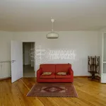 Rent 3 bedroom apartment of 70 m² in Turin