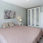 Rent 2 bedroom apartment of 90 m² in The Hague