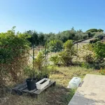 Rent 3 bedroom apartment of 85 m² in Albano Laziale