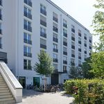 Rent 1 bedroom apartment of 31 m² in Dresden